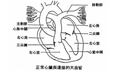 心肌炎患者冬天預(yù)防五大要點(diǎn)