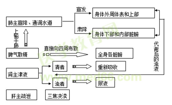 生命活動的基本物質(zhì)