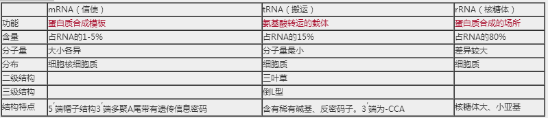 2018年臨床執(zhí)業(yè)醫(yī)師生物化學(xué)科目高頻考點(diǎn)