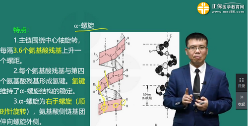 蛋白質(zhì)的化學(xué)