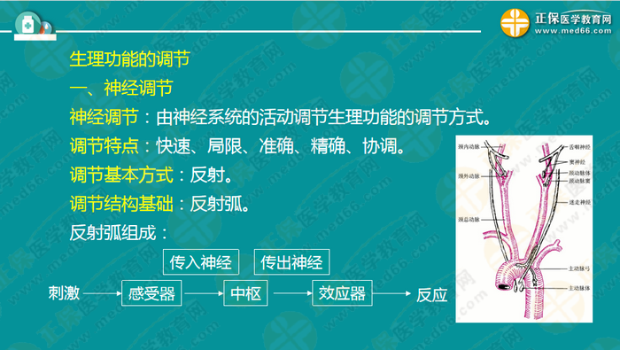 醫(yī)療衛(wèi)生考試筆試備考指導來了，共計2863頁書！怎么學？