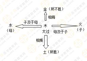 專業(yè)師資帶你學(xué)（五）：執(zhí)業(yè)藥師《中藥綜》五行學(xué)說！學(xué)習(xí)要有方法！