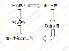 《中藥學綜合知識與技能》的藏象