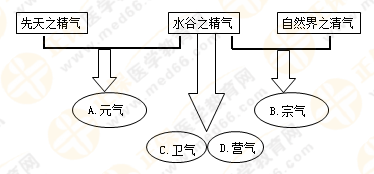 專業(yè)師資帶你學(xué)（八）：執(zhí)業(yè)藥師《中藥綜》生命活動(dòng)的基本物質(zhì)！善用圖解！