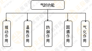 專業(yè)師資帶你學(xué)（八）：執(zhí)業(yè)藥師《中藥綜》生命活動(dòng)的基本物質(zhì)！善用圖解！