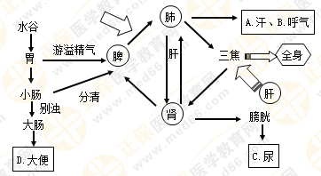 專業(yè)師資帶你學(xué)（八）：執(zhí)業(yè)藥師《中藥綜》生命活動(dòng)的基本物質(zhì)！善用圖解！