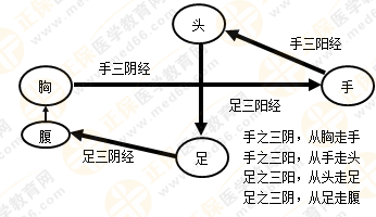 專業(yè)師資帶你學(xué)（九）：執(zhí)業(yè)藥師《中藥綜》經(jīng)絡(luò)與經(jīng)絡(luò)系統(tǒng)！5圖2表！