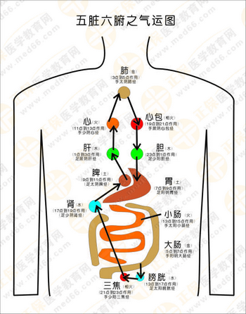 執(zhí)業(yè)藥師中藥綜重點