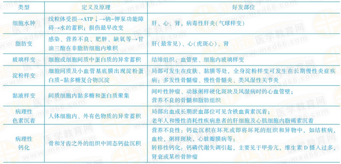 可逆性損傷的?？键c 