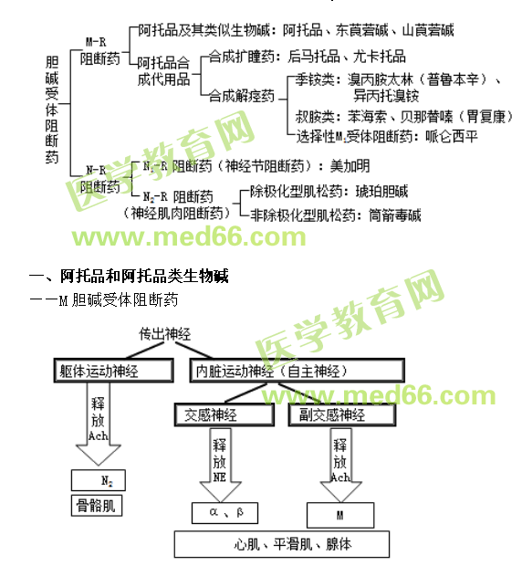 中西醫(yī)結合助理醫(yī)師精選課