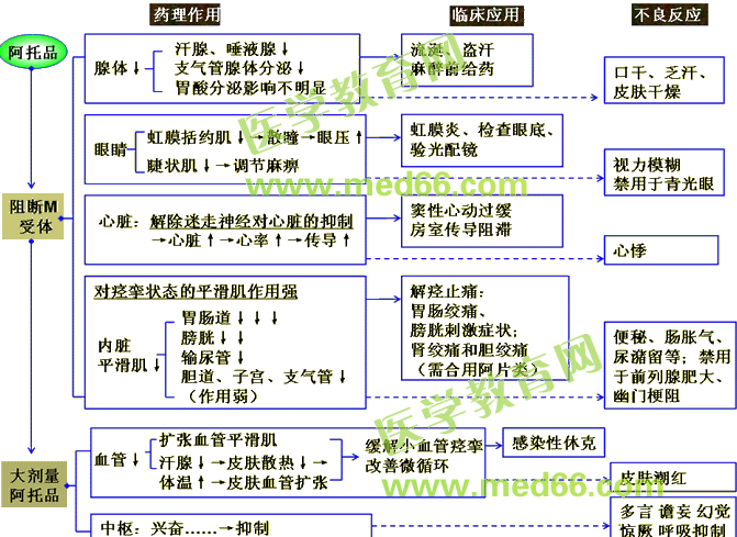 中西醫(yī)結合助理醫(yī)師精選課