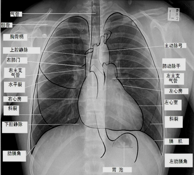 實(shí)踐技能輔導(dǎo)精華