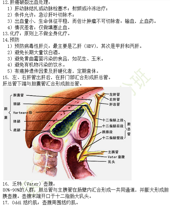 30個有關肝炎、膽囊炎相關考點匯總-臨床執(zhí)業(yè)醫(yī)師消化系統(tǒng)第九期！