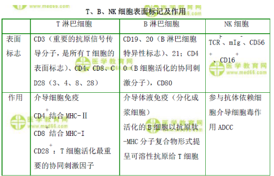 T、B、NK細(xì)胞表面標(biāo)記及作用