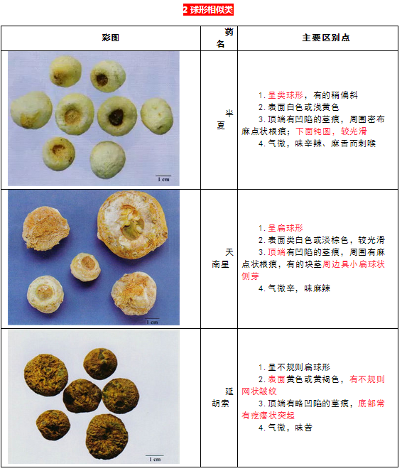 每日沖刺計劃！2019執(zhí)業(yè)藥師《中藥學專業(yè)知識二》第一篇！