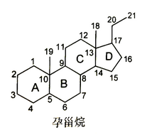 【西藥三科】執(zhí)業(yè)藥師考試西藥三科出題規(guī)律｜重難點匯總！