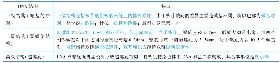 DNA各級(jí)結(jié)構(gòu)的特點(diǎn)