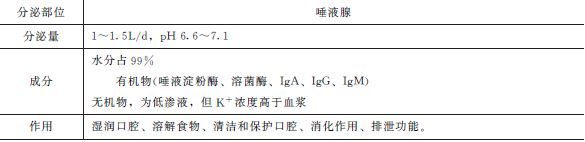 口腔內(nèi)消化