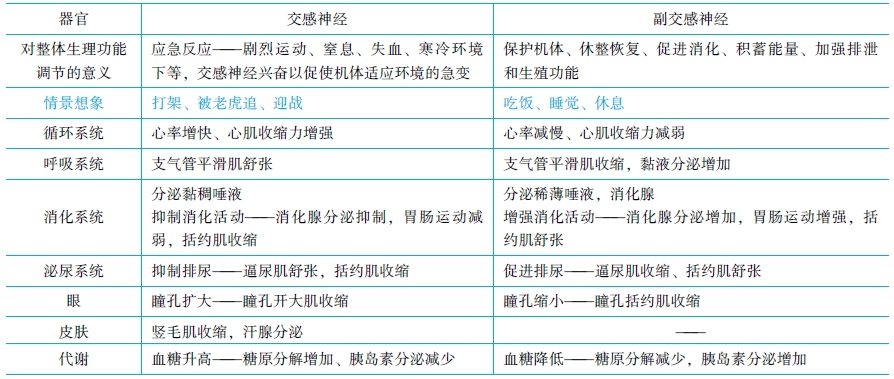 神經(jīng)系統(tǒng)對內(nèi)臟活動(dòng)的調(diào)節(jié)