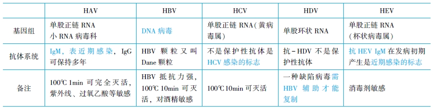 病毒性肝炎的生理學(xué)性狀