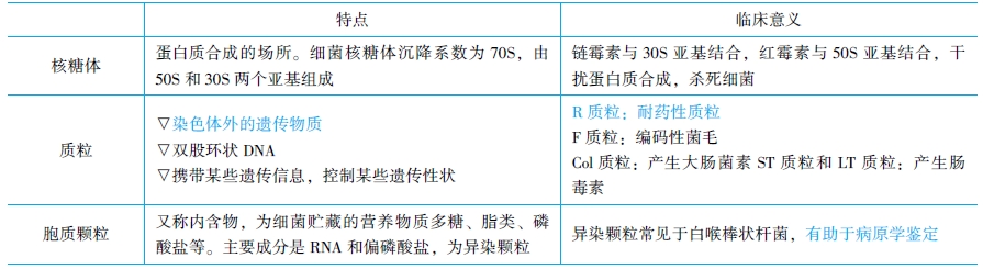 細菌細胞結(jié)構(gòu)的醫(yī)學意義