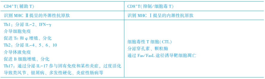 T淋巴細胞亞群及其功能