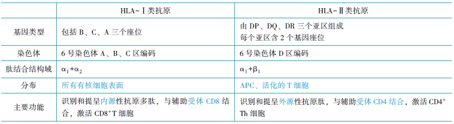 HLA-Ⅰ類抗原和HLA-Ⅱ類抗原