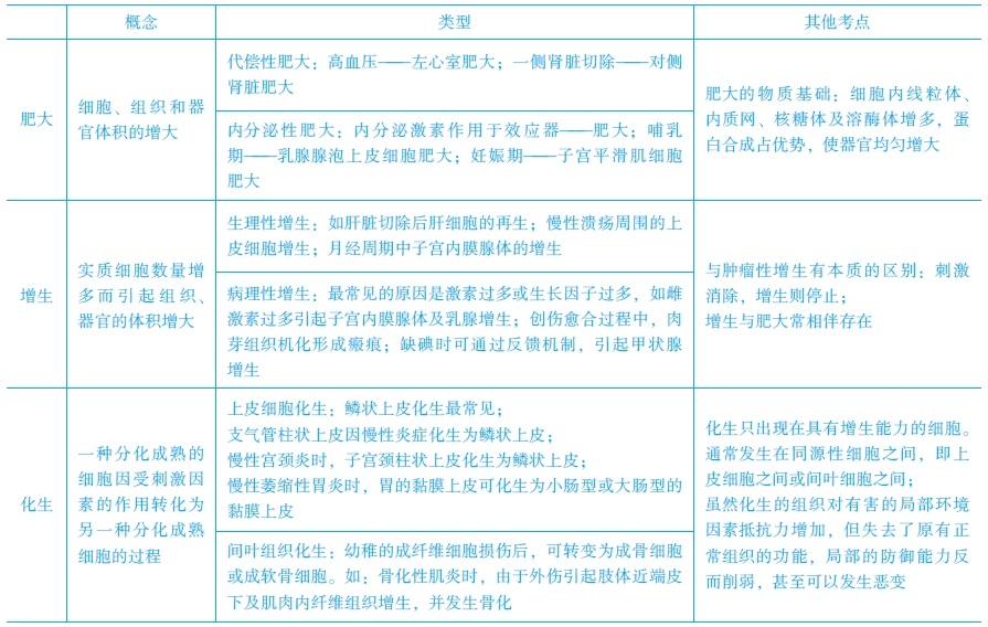 增生、化生和肥大的常見考點　