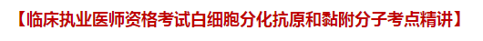 臨床執(zhí)業(yè)醫(yī)師資格考試白細(xì)胞分化抗原和黏附分子考點精講