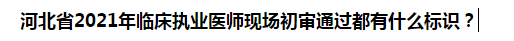 河北省2021年臨床執(zhí)業(yè)醫(yī)師現(xiàn)場初審?fù)ㄟ^都有什么標(biāo)識(shí)？