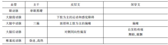 不同動脈支配區(qū)梗死的臨床表現