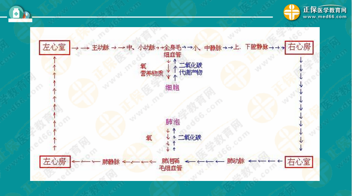 醫(yī)療衛(wèi)生考試筆試備考指導(dǎo)來了，共計(jì)2863頁書！怎么學(xué)？