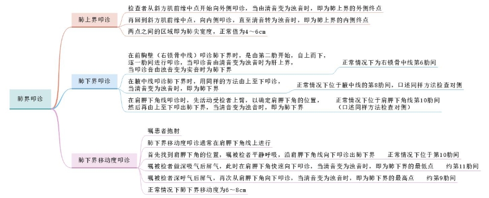 體格檢查——肺界叩診、肺下界移動度叩診