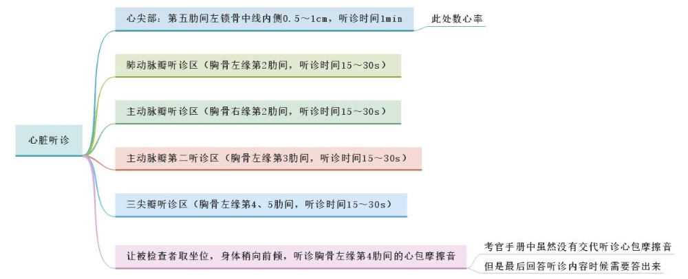 體格檢查——心臟聽診