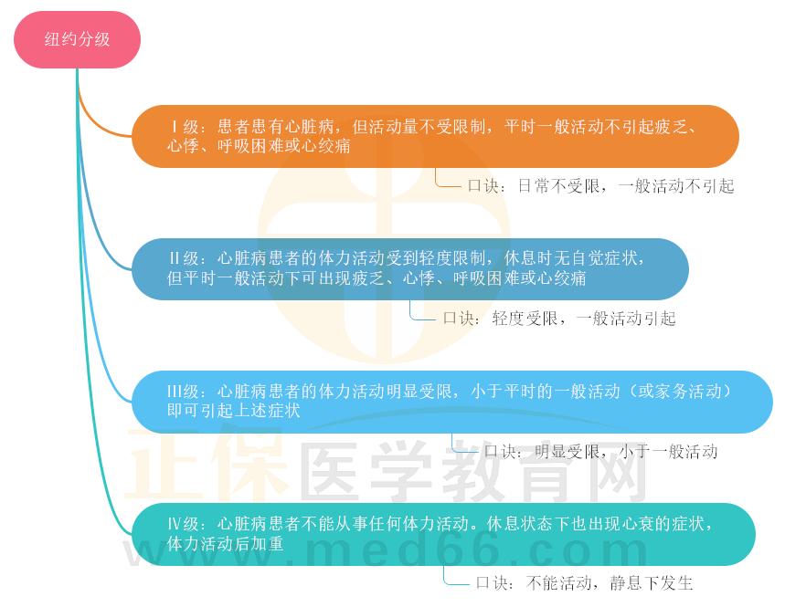 2.紐約分級(jí)思維導(dǎo)圖