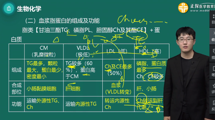 血漿脂蛋白的組成及功能