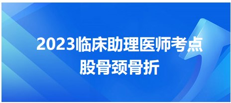 2023臨床助理醫(yī)師考點(diǎn)股骨頸骨折