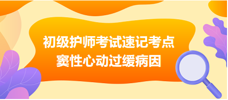 2024初級(jí)護(hù)師考試速記考點(diǎn)：竇性心動(dòng)過(guò)緩病因