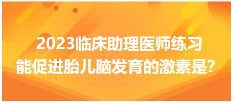 2023臨床助理醫(yī)師練習(xí)-促進胎兒腦發(fā)育的激素是？