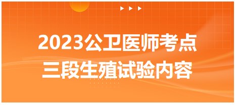 2023公衛(wèi)醫(yī)師考點(diǎn)-三段生殖試驗(yàn)內(nèi)容