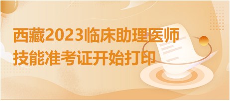 西藏2023臨床助理醫(yī)師技能準考證打印