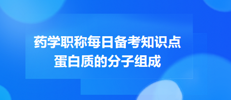 蛋白質(zhì)的分子組成-2024藥學職稱考試每日備考知識點