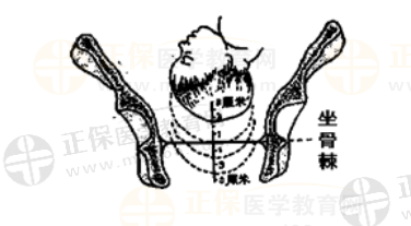 女性生殖系統(tǒng)考點速記