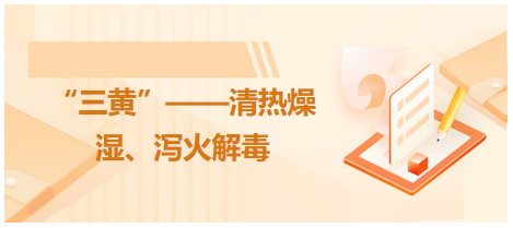 “三黃”——清熱燥濕、瀉火解毒