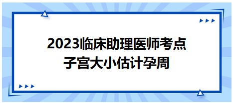 子宮大小估計孕周