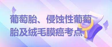 葡萄胎、侵蝕性葡萄胎及絨毛膜癌考點(diǎn)