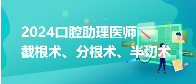 口腔助理醫(yī)師筆試考點：牙周病學—截根術、分根術、半切術