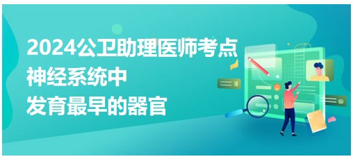 神經(jīng)系統(tǒng)中發(fā)育最早的器官